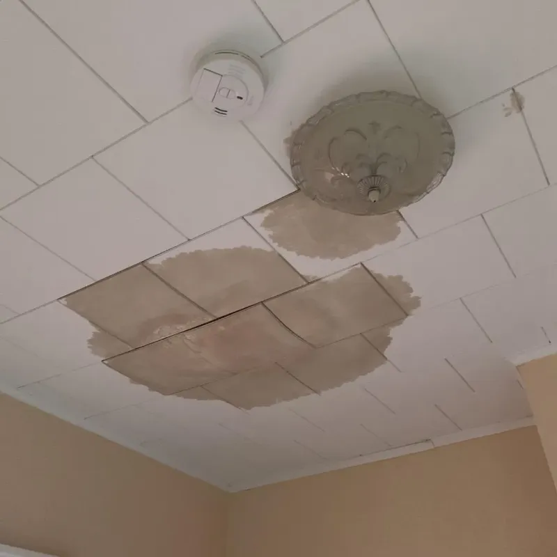 Ceiling Water Damage Repair in Drexel, NC