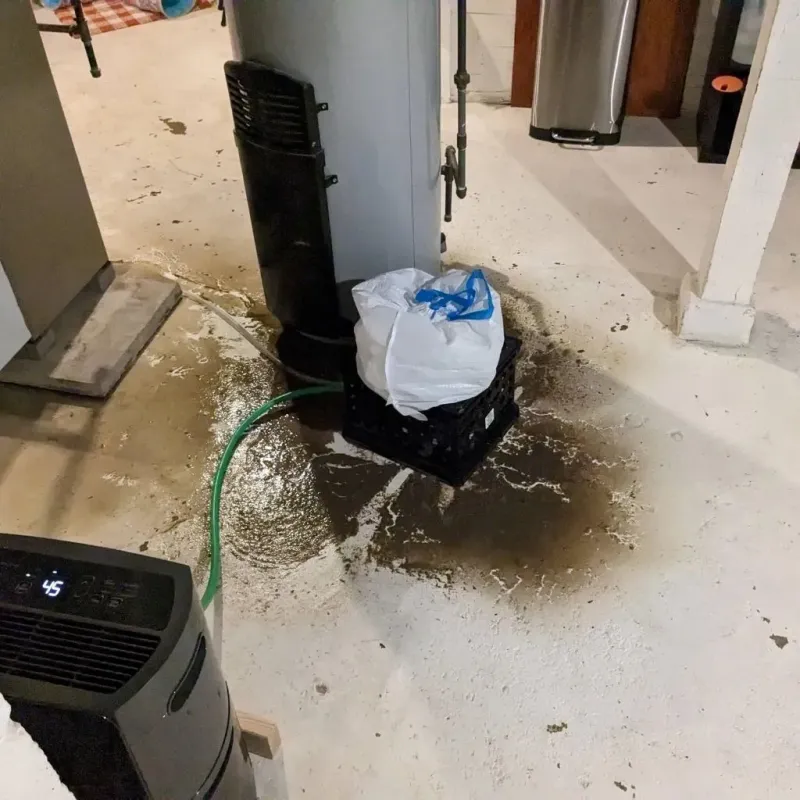 Sewage Backup Cleanup Service in Drexel, NC